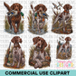 Duck Hunting Clipart