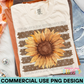 Sunflower Stripes PNG