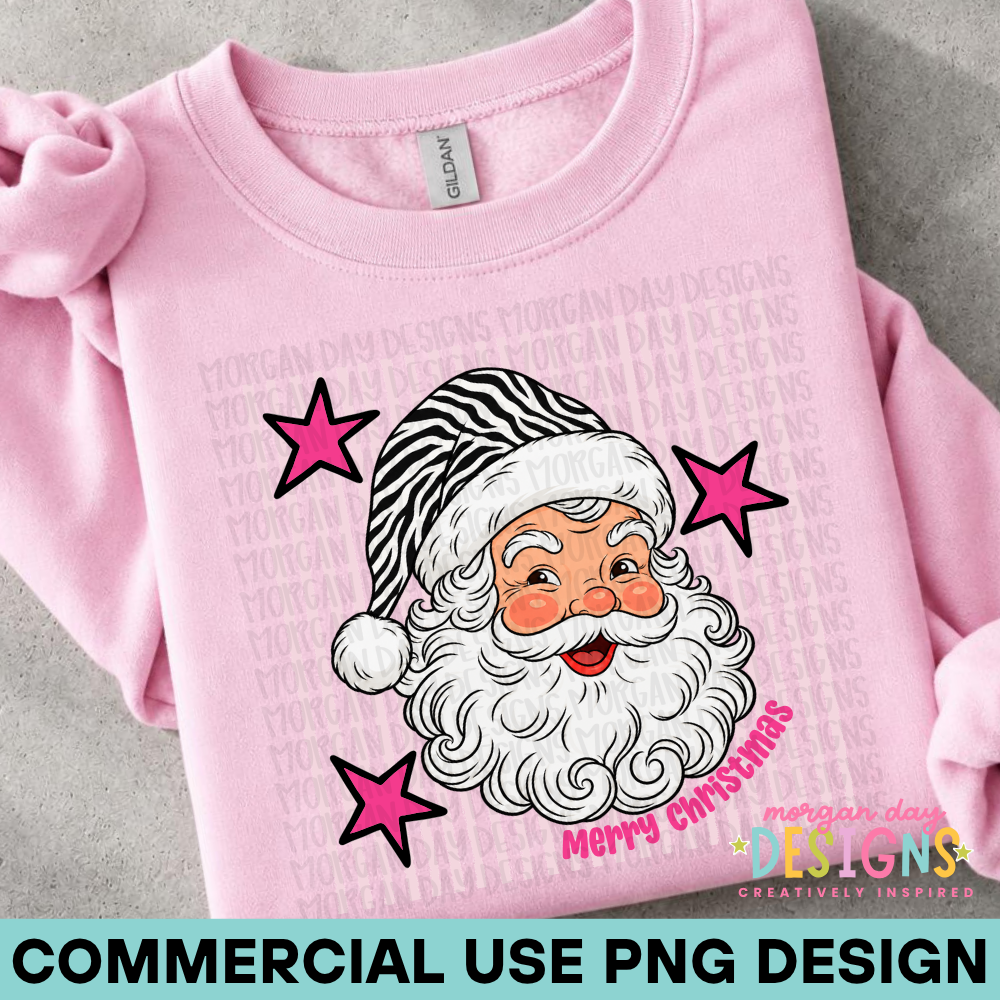 Santa Zebra PNG